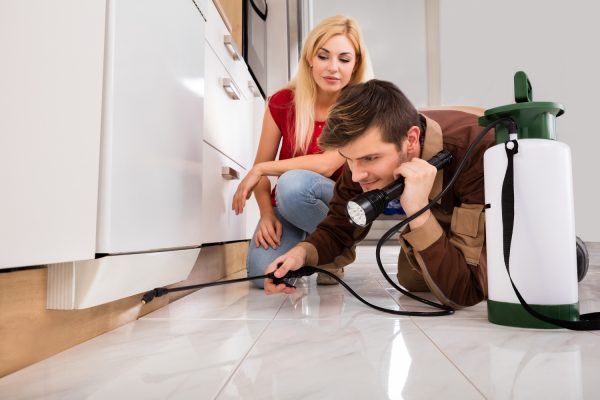 Man With Woman Spraying In Kitchen